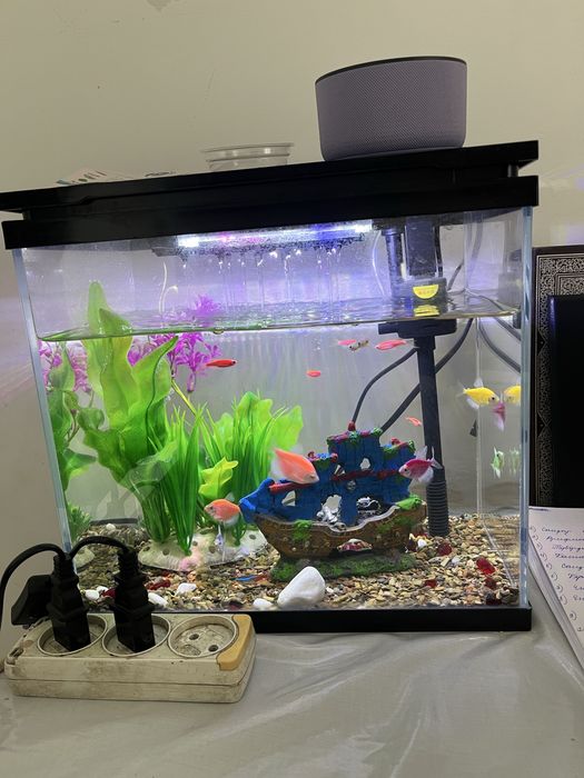 Аквариум сатылады