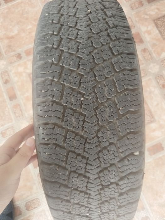 Продам шины зимние