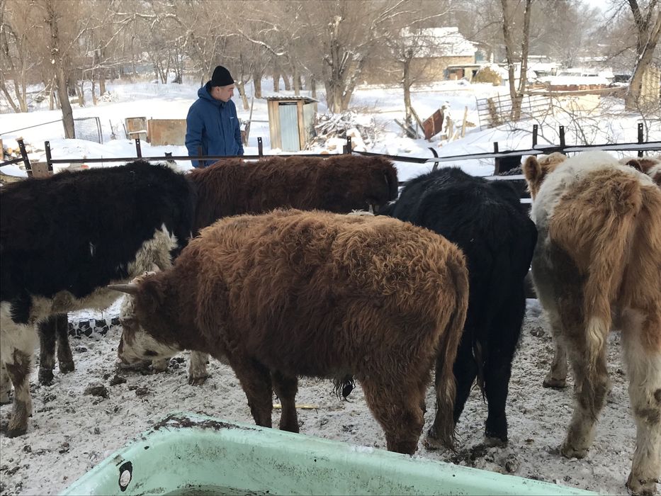 Село Аймен ул Мира1/1