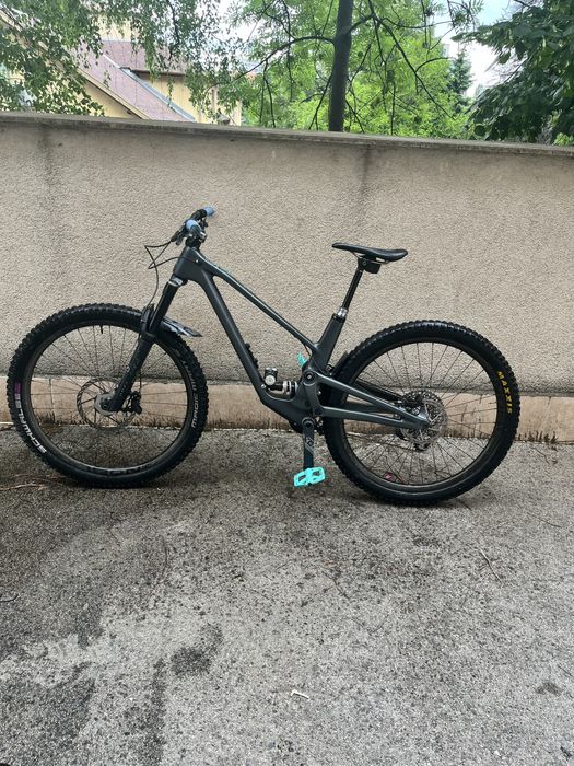 Forbidden Druid 2023