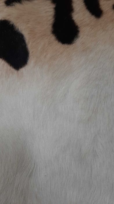 Продам ковер из шкуры