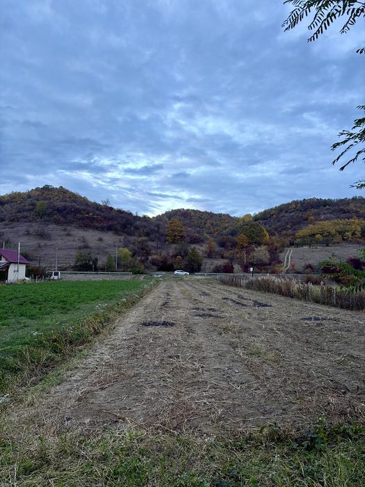 Teren intravilan