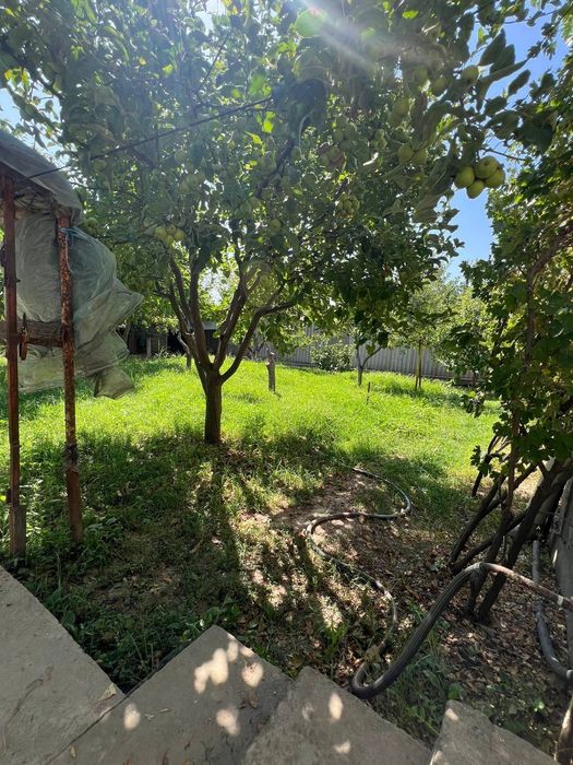 Кибрай.6.с.4хона.ттз.постдан 1км.