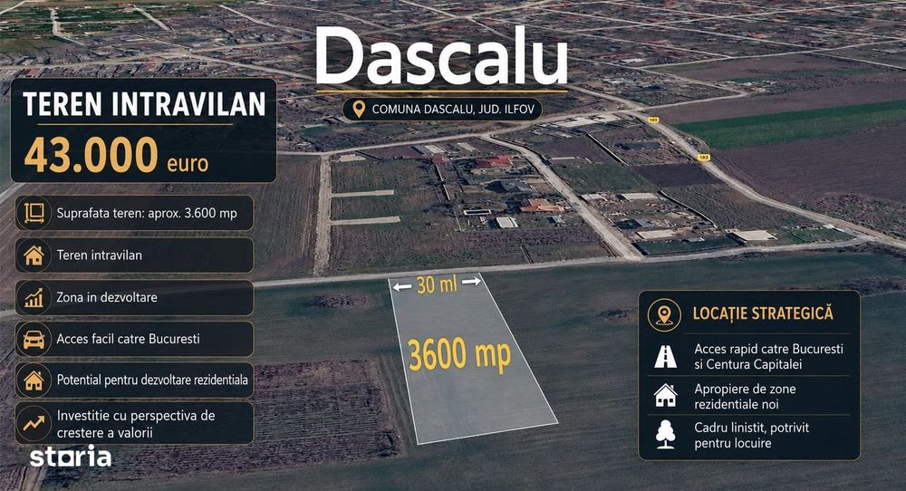 Teren Intravilan 3.600 mp | Dascalu, Ilfov