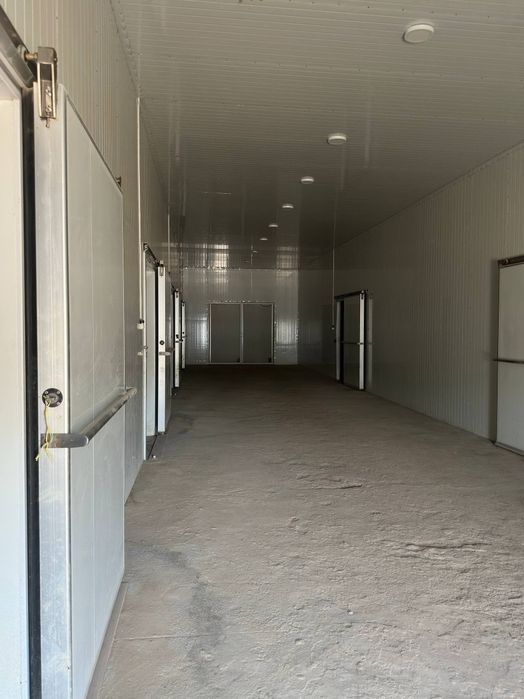 Сдается в аренду холодильная камера вместимостью 1500 тонн для хранени