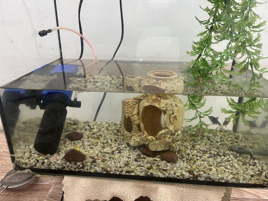 Аквариум сатылады