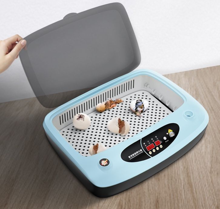 Инкубатор на 24 яйца