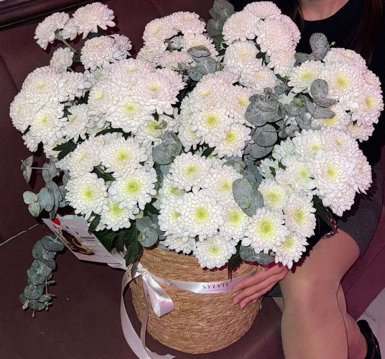 Цветы белоснежные хризантемы