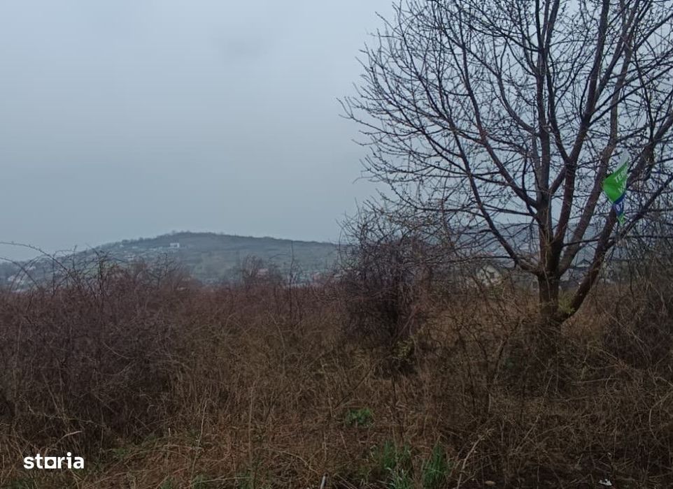 Teren intravilan Tomesti , 11000 metri Cod:161403