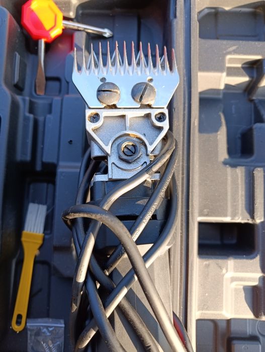 Mașina electrică de tuns oi