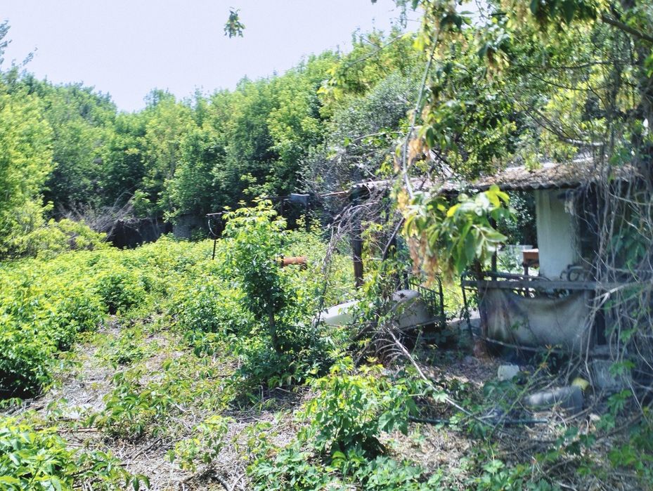 Дача Солнечная Долина