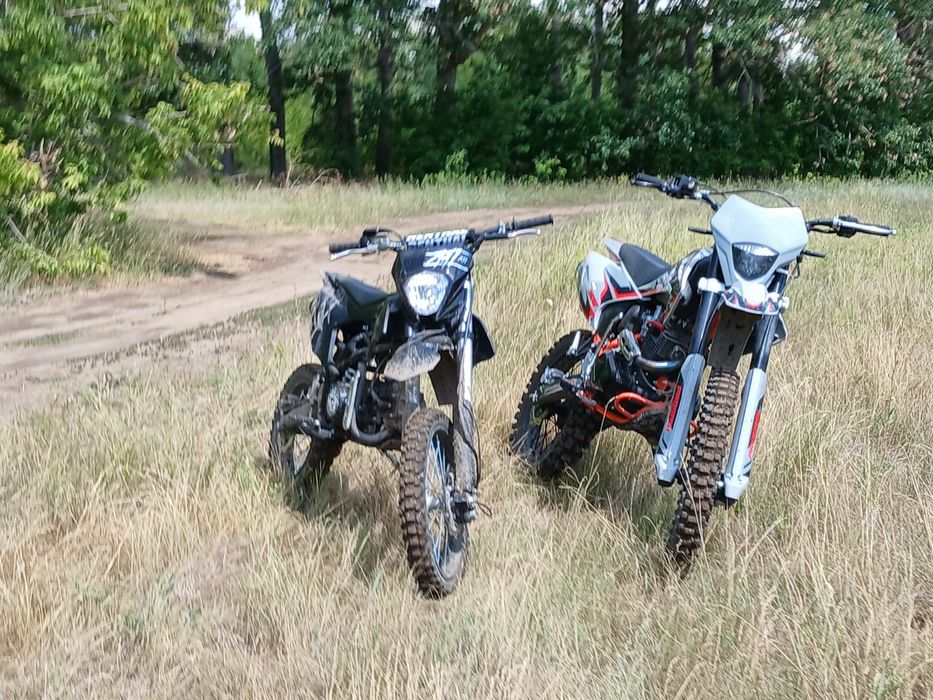 Продам progasi palma 300