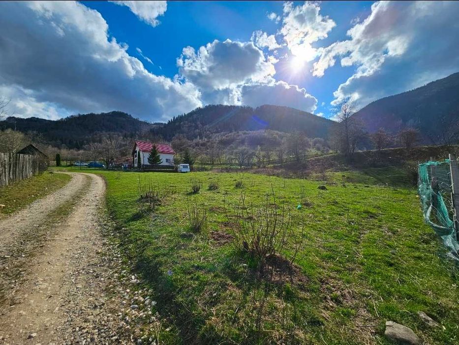 Teren Zărnești, Brașov – 3 loturi (618-716-629 mp) – vedere Piatra Craiului & Bucegi