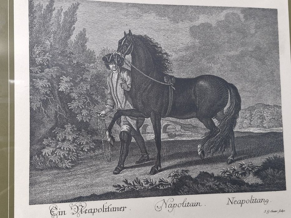 Tablou Gravură Johann Elias Ridinger