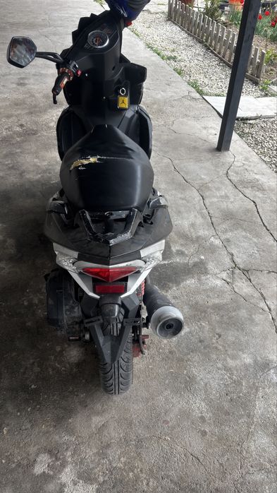 Peda egael 2014 года