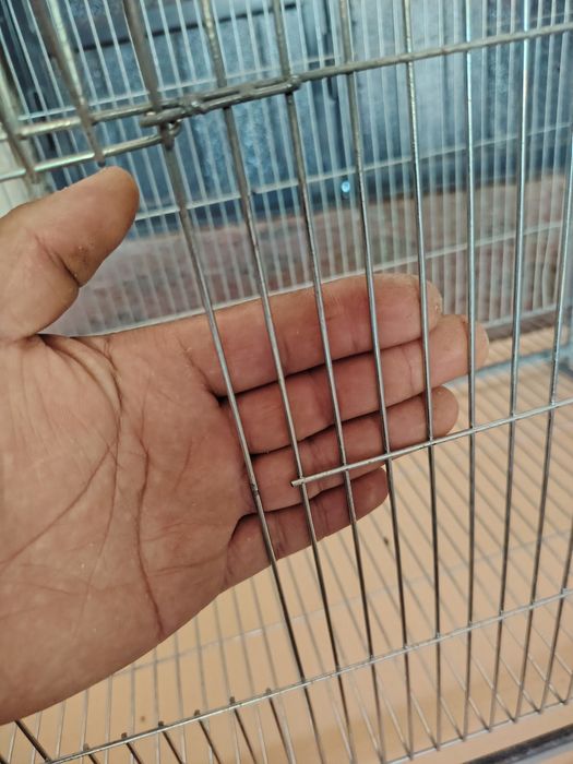 Qushlar uchun qafas sotiladi
