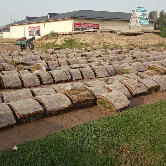 Ландшафт с нуля Полив и посадка.