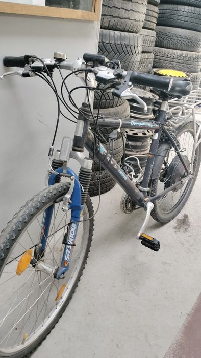 Bicicleta electrica