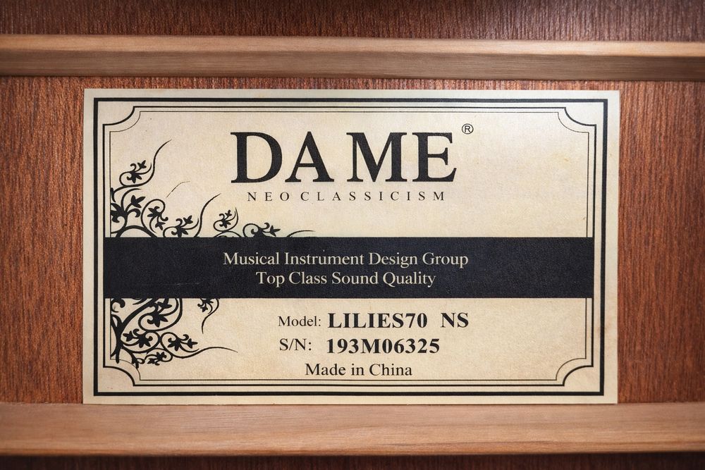 Гитара DAME Lilies Korea Dreadnought