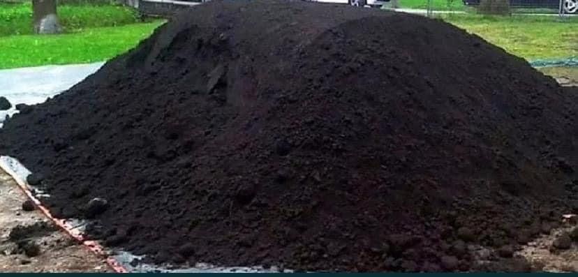 Pamant negru padure vegetal