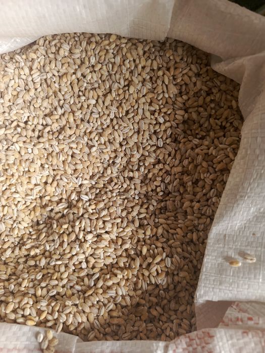 Крупы гречка сечка перловка лапша макароны