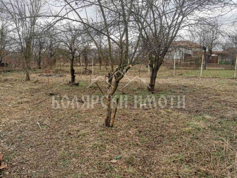 Продава се Къща в с. Палици, Област Велико Търново - 100 кв.м за 750 €/кв.м - Снимка #3