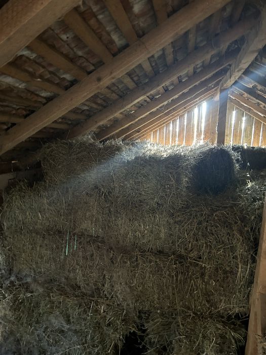 De vânzare baloți de lucernă