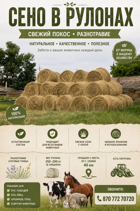 Руллон шоп (СЕНО) сатылады
