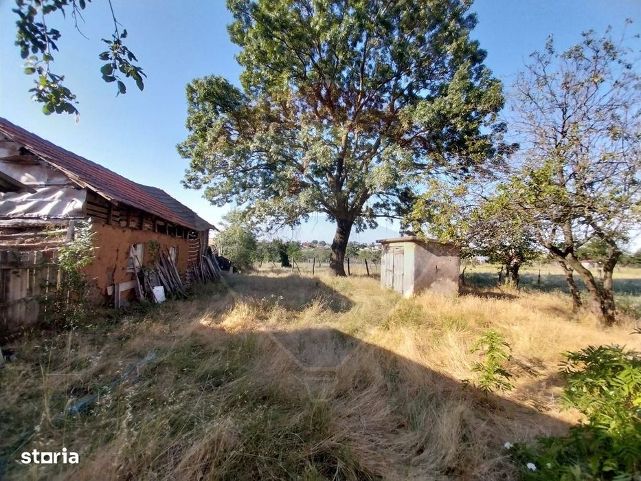 Casă / Vilă de vânzare in Bucovat, Sarbatoarea