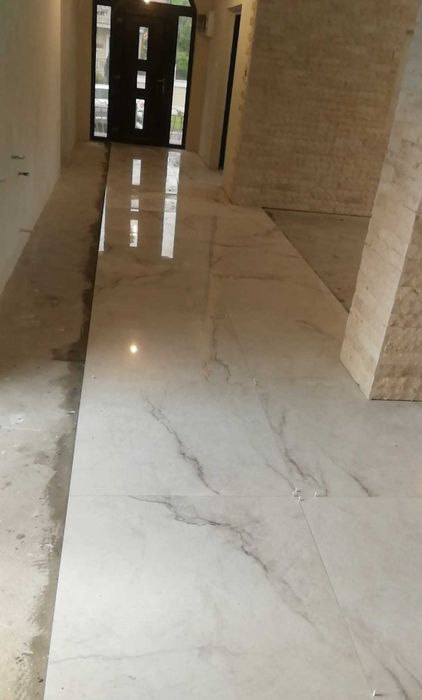 DxA Expert Construct