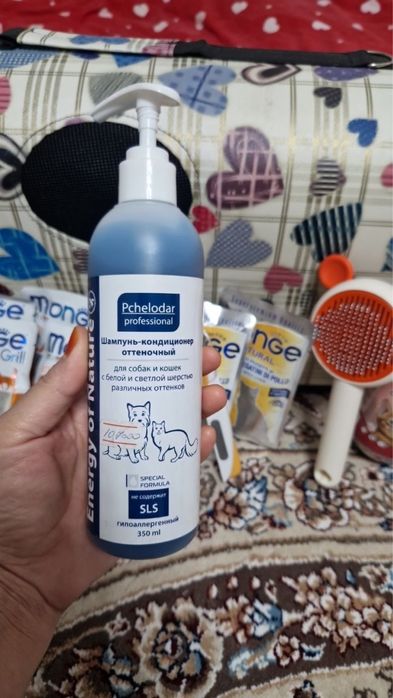 Отдам кота в хорошие руки - бесплатно.