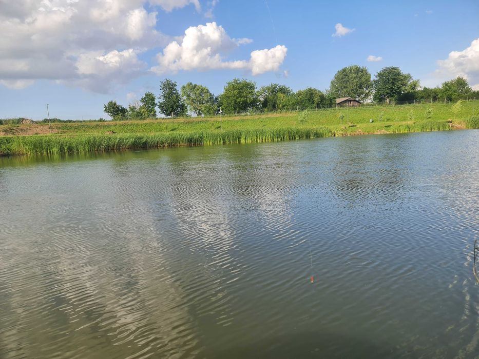 Lac de vânzare – Vetiș, județul Satu Mare