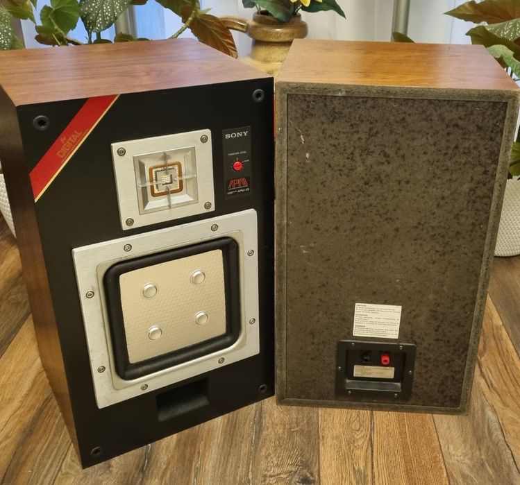 Boxe Sony APM 33W