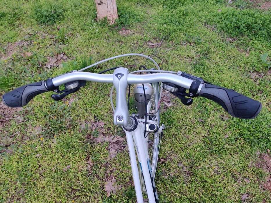 Bicicleta  Giant Freerider