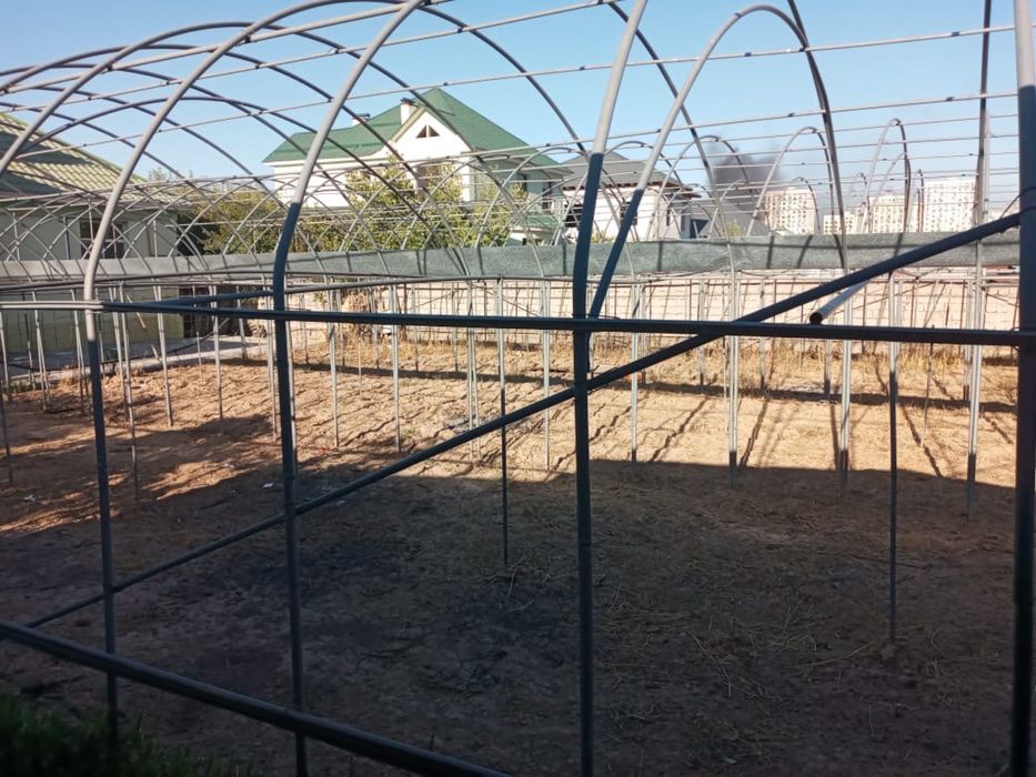 Теплица ………………..