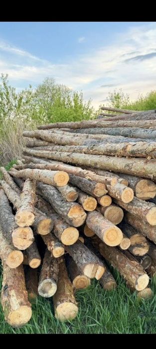 Продам жерди ...