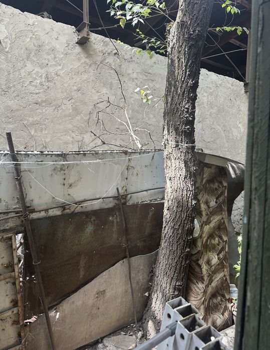 Отдам деревья на дрова