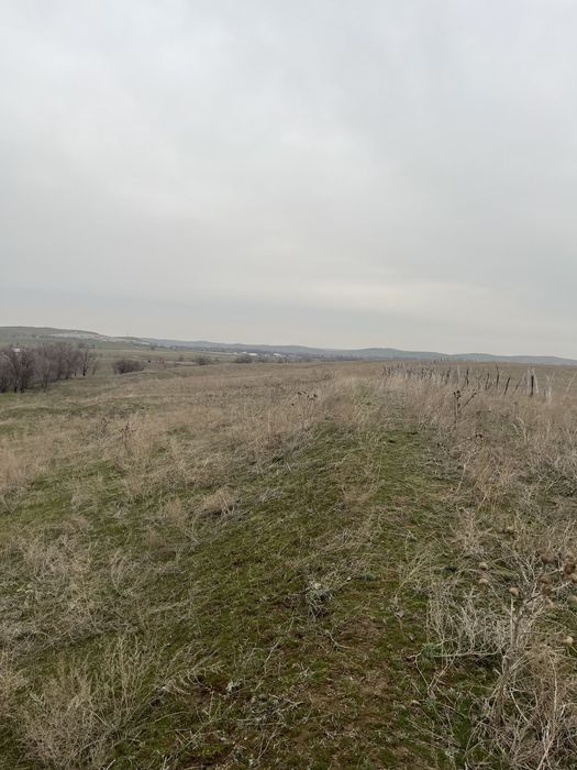 Жер сатылады | Продается земля 6.5 гектар