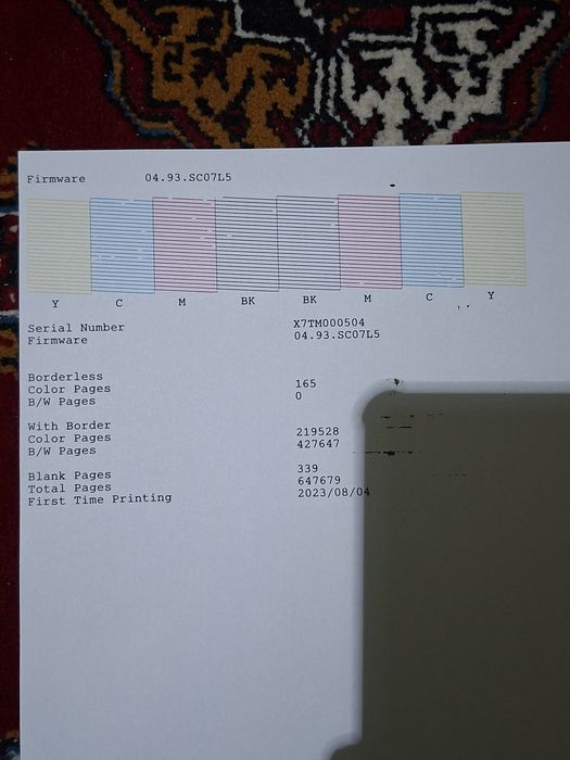 Svetnoy A3 Epson L 11160 srochni sotiladi