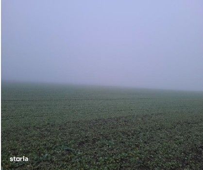 Teren extravilan arabil Troianul, ID: R2884553