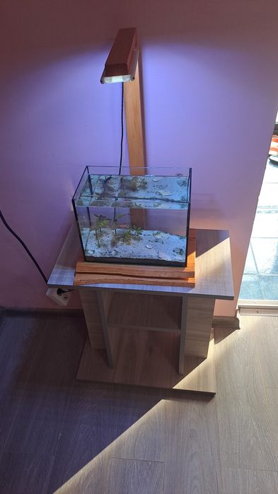 Acvariu 32 cm lungime  x 24 cm înălțime plus stand plus sistem il