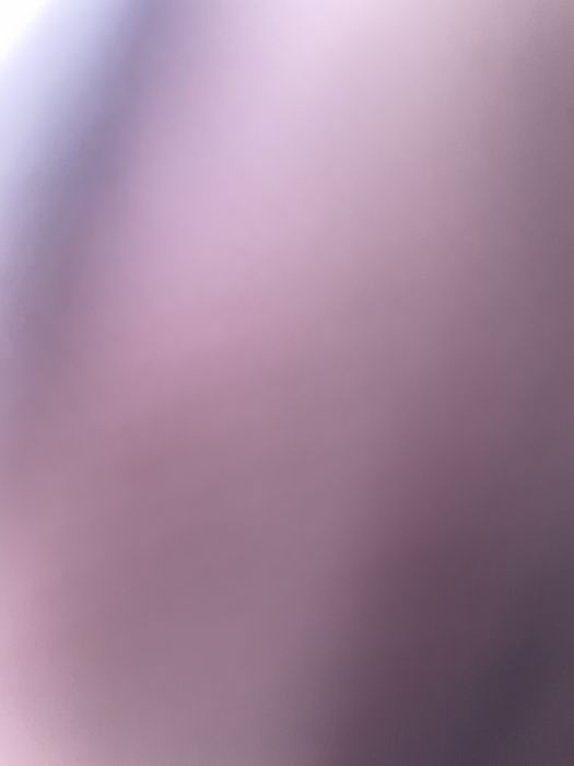 Коньки аяқ киімі