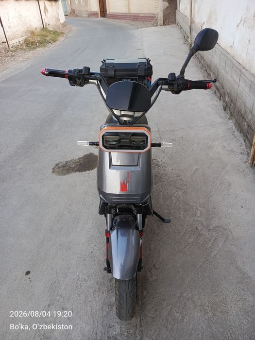 Skuter bono hama narsalari bor