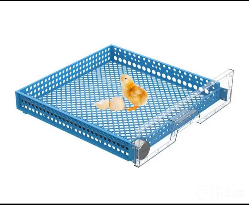 Inkubator 48 talik