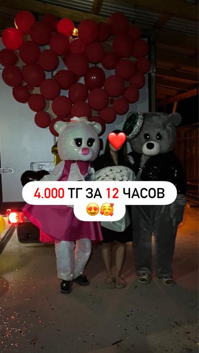 Мишки тедди на прокат, в аренду. От 3000 тг. Костюмы мишек тедди