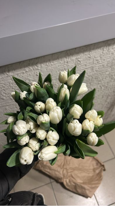 тюльпаны розница 450тг