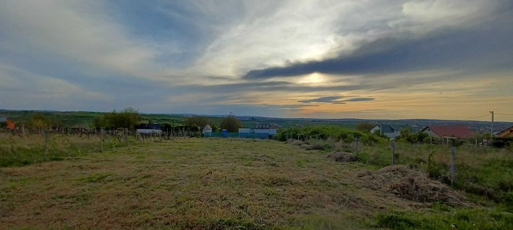 Vand Teren Intravilan 1000 mp in Bucium-Vișani