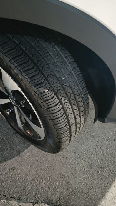 BYD song pils 505 sotiladi