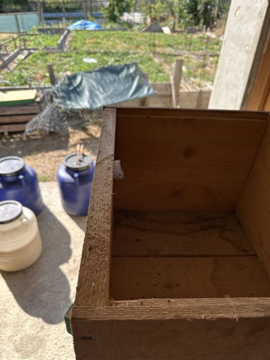 Lazi pentru familii de albine