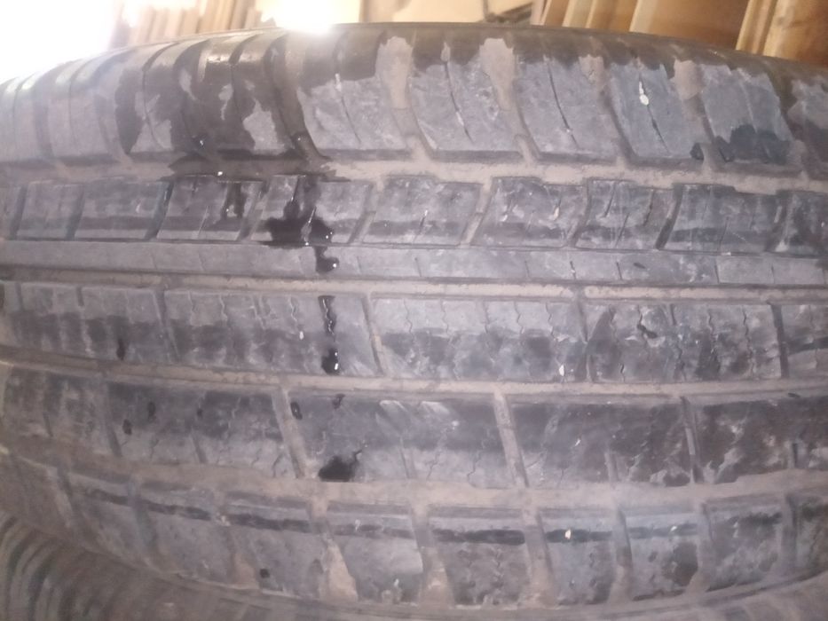 Комплект всесезонной резины Amtel